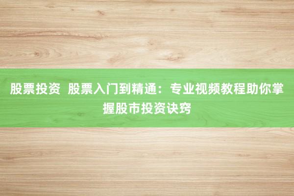 股票投资  股票入门到精通：专业视频教程助你掌握股市投资诀窍