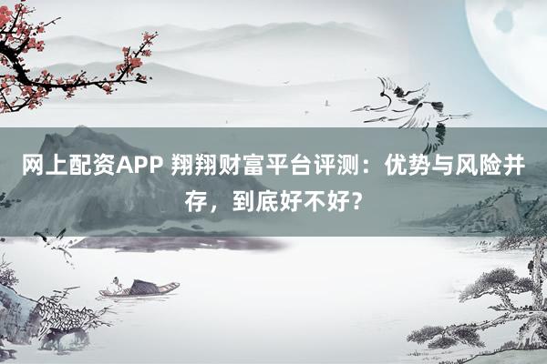 网上配资APP 翔翔财富平台评测：优势与风险并存，到底好不好？