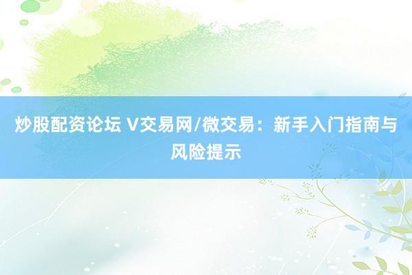 炒股配资论坛 V交易网/微交易：新手入门指南与风险提示