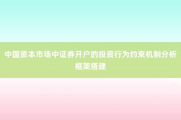 中国资本市场中证券开户的投资行为约束机制分析框架搭建
