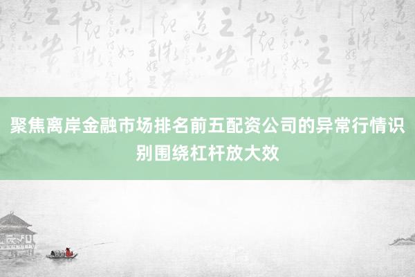 聚焦离岸金融市场排名前五配资公司的异常行情识别围绕杠杆放大效
