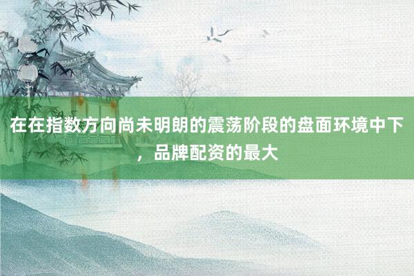 在在指数方向尚未明朗的震荡阶段的盘面环境中下，品牌配资的最大